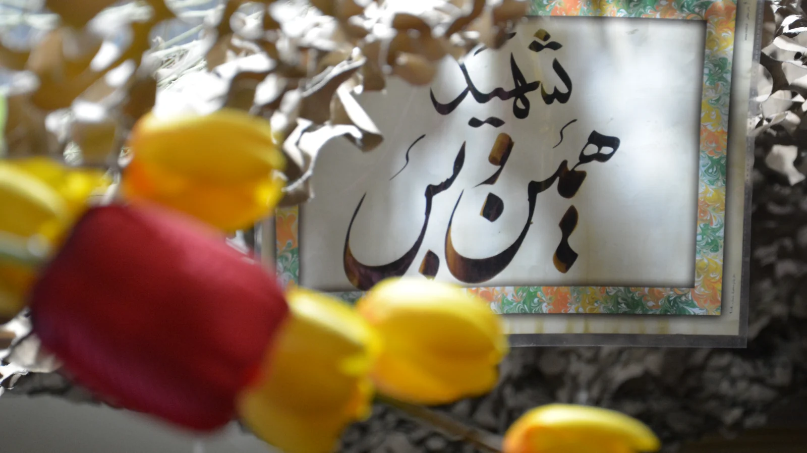 من یک زن ایرانی‌ام، I Am an Iranian Woman ، أنا امرأةٌ إيرانية